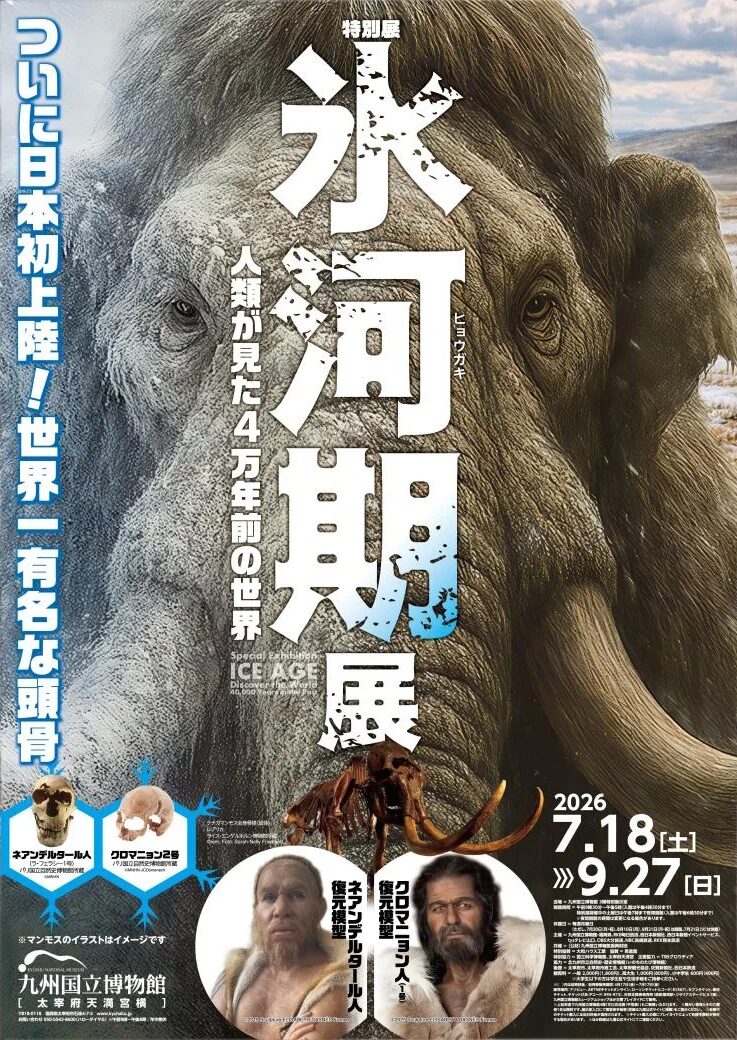 九州国立博物館 特別展「氷河期展~人類が見た4万年前の世界~」|2026年7月18日(土)〜9月27日(日)に九州国立博物館で開催!人類と巨大動物が共存した時代を紹介